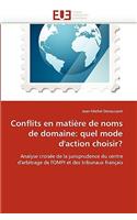 Conflits En Mati?re de Noms de Domaine