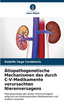 Ätiopathogenetische Mechanismen des durch C-V-Medikamente verursachten Nierenversagens