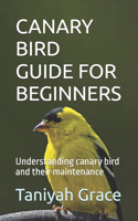 Canary Bird Guide for Beginners