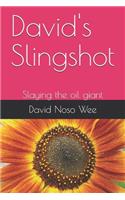 David's Slingshot