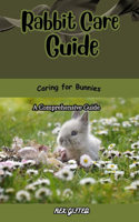 Rabbit Care Guide