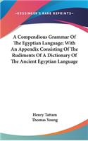 A Compendious Grammar Of The Egyptian Language; With An Appendix Consisting Of The Rudiments Of A Dictionary Of The Ancient Egyptian Language