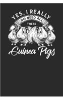 Yes I Really Do Need All These Guinea Pigs