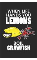 When Life Hands You Lemons Boil Crawfish