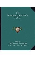 The Transmigration of Souls