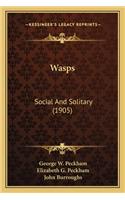 Wasps