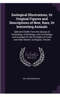 Zoological Illustrations, Or Original Figures and Descriptions of New, Rare, Or Interesting Animals