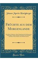 Früchte aus dem Morgenlande: Oder Reise-Erlebnisse, Nebst Naturhistorisch-Medizinischen Erfahrungen, Einigen Hundert Erprobten Arzneimitteln und Einer Neuen Heilart, dem Medial-Systeme (Classic Reprint)
