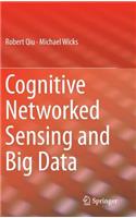 Cognitive Networked Sensing and Big Data