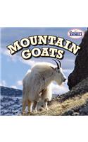 Mountain Goats
