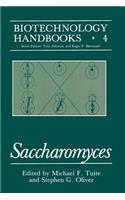 Saccharomyces