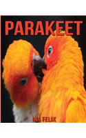 Parakeet: Children Book of Fun Facts & Amazing Photos on Animals in Nature - A Wonderful Parakeet Book for Kids aged 3-7