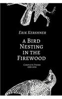 A Bird Nesting in the Firewood