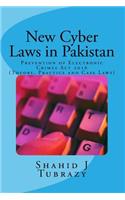 New Cyber Laws in Pakistan