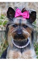 Styling Yorkie with a Pink Bow and a Necklace Small Dog Journal: 150 Page Lined Notebook/Diary
