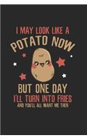 I may look like a potato Humor Notebook: Notebook / 6x9 Zoll / 120 ruled Pages