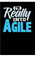 I'm Really Into Agile