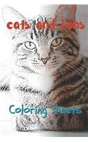 Cat and Lion Coloring Sheets