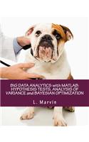 Big Data Analytics with MATLAB: Hypothesis Tests, Analysis of Variance and Bayesian Optimization