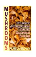 Mushrooms: Mushrooms Growing at Home + Autumn Mushrooms Foraging: (Identify Mushrooms, Mushroom Hunters)(Herbal Mushrooms)
