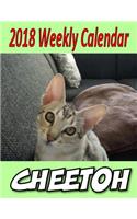 2018 Weekly Calendar Cheetoh: Cat Jokes, Puns, & Mazes, Personal Notes, To Do List and More...