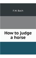 How to Judge a Horse