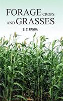 Forage Crops and Grasses