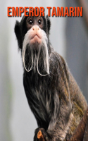 Emperor Tamarin