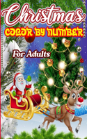 Christmas Color By Number For Adults