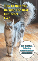 Tips To Help You Become The Best Cat Owner Ever_ Cat Nutrition, Behavior, Health Problems And Solutions: Reality Of Owning A Cat