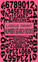 large print number search books