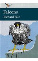 Falcons