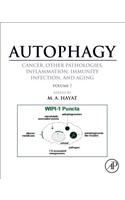 Autophagy: Cancer, Other Pathologies, Inflammation, Immunity, Infection, and Aging