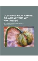 Gleanings from Nature; Or, a Home Tour with Aunt Bessie. Or, a Home Tour with Aunt Bessie. --