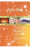 Public Data A Clear and Concise Reference