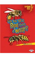 Can You Tell a Bee from a Wasp: (Lightning Bolt Books: Animal Look Alikes)