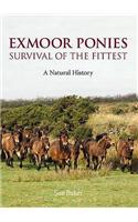 Exmoor Ponies Survival of the Fittest