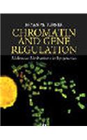 Chromatin and Gene Regulation