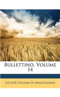 Bullettino, Volume 14