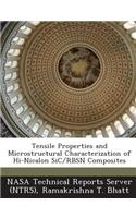 Tensile Properties and Microstructural Characterization of Hi-Nicalon Sic/Rbsn Composites