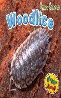Creepy Crawlies Pack B of 5: (Creepy Crawlies)