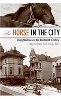 Horse in the City