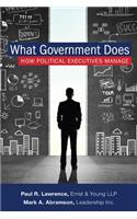 What Government Does