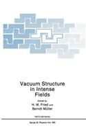 Vacuum Structure in Intense Fields