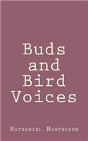 Buds and Bird Voices