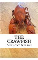The Crawfish