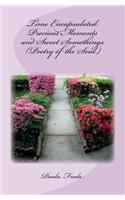 Time Encapsulated: Precious Moments and Sweet Somethings (Poetry of the Soul): (Large Print Edition)