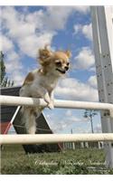 Chihuahua November Notebook Chihuahua Record, Log, Diary, Special Memories, to Do List, Academic Notepad, Scrapbook & More