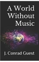 A World Without Music