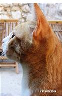 Cat Notebook: 6x 9 Lined Notebook Cat Composition Notebook Journal and Diary100 Pages (Volume 27)
